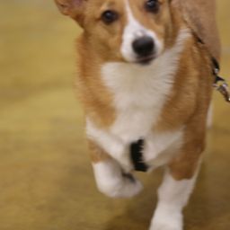 photograph by PeterW